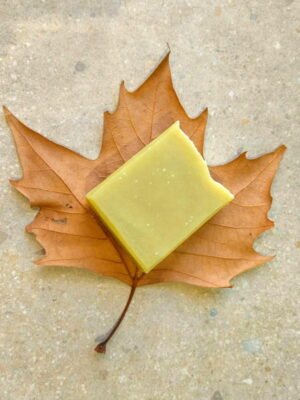 ECO ΣΑΠΟΥΝΙ SPICY AMBER DAPHNE'S 110gr