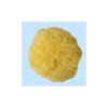 SPONGE GRASS ΦΥΣΙΚΟ ΣΦΟΥΓΓΑΡΙ GRASS