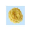 SPONGE HARD HEAD ΦΥΣΙΚΟ ΣΦΟΥΓΓΑΡΙ HH