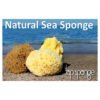 SPONGES 2 TOP SPONGE ΣΦΟΥΓΓΑΡΙ ΜΠΑΝΙΟΥ ΛΟΥΦΑ