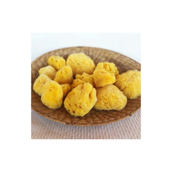 SPONGES TOP SPONGE ΣΦΟΥΓΓΑΡΙ ΜΠΑΝΙΟΥ ΛΟΥΦΑ