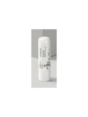 LIP BALM DEEPLY NOURISHING SPF15 BIOSANTO 4.5gr